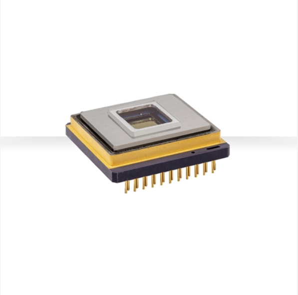 Leopard 640.png Leopard 640.png